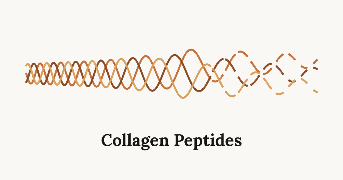collagen peptides
