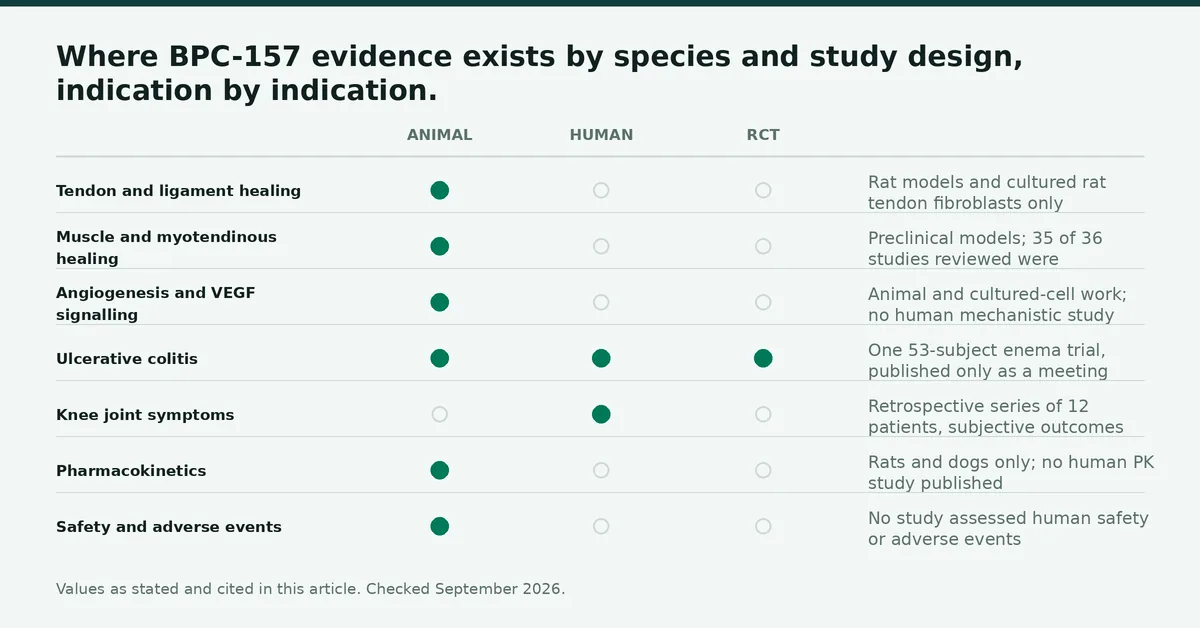 Chart: Where BPC-157 evidence exists by species and study design, indication by indication