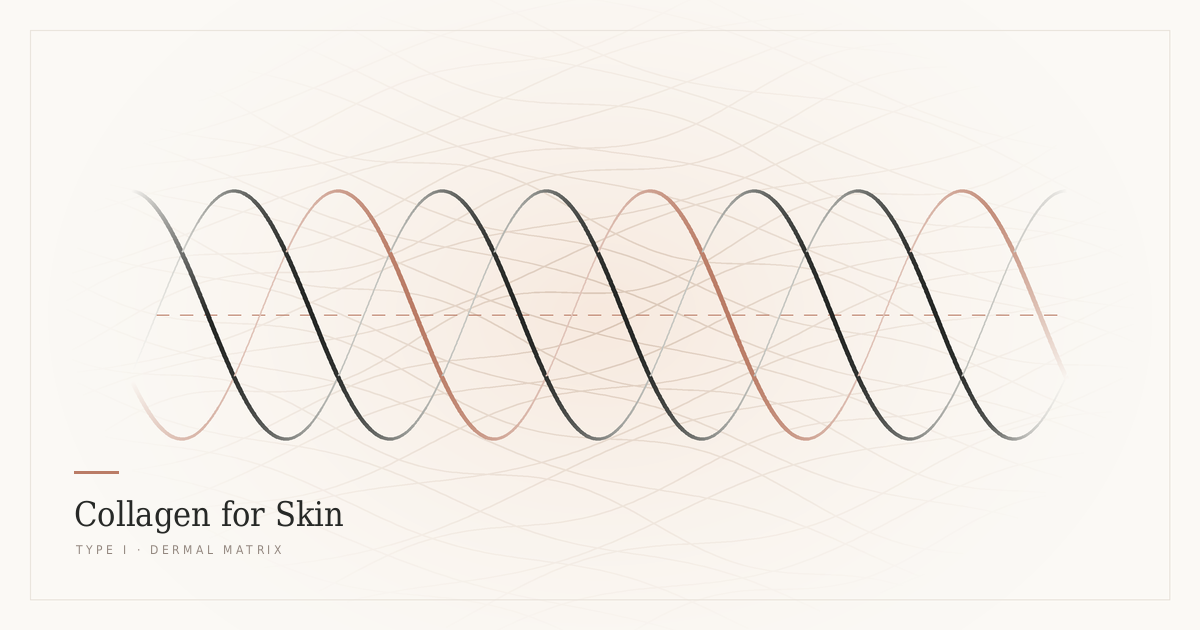 collagen for skin