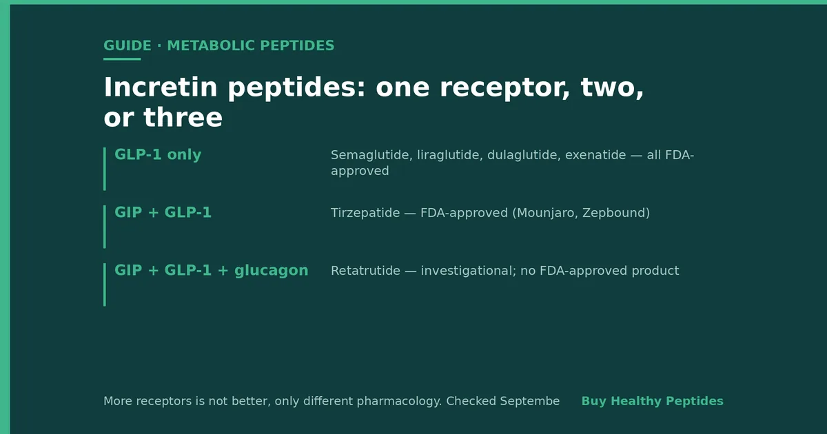GLP-1 and Incretin Peptides Explained: Semaglutide, Tirzepatide, Retatrutide & More