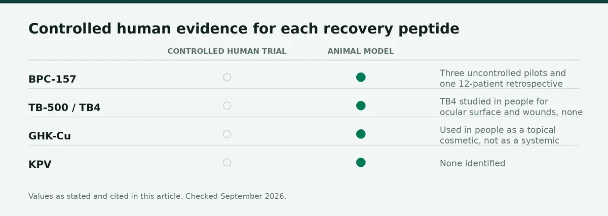 Chart: Controlled human evidence for each recovery peptide