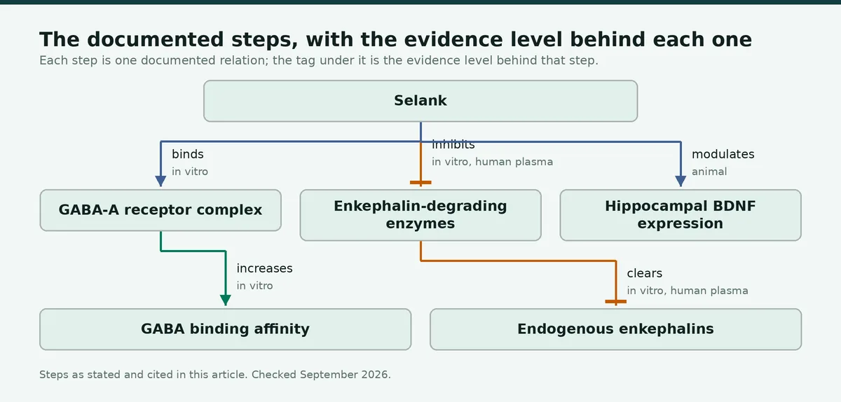 Diagram: The documented steps, with the evidence level behind each one